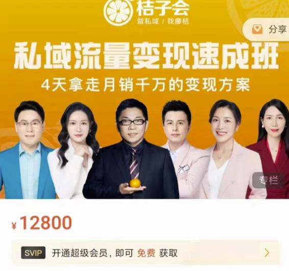 桔子会·私域流量变现速成班，4天拿走月销千万的变现方案 价值12800元-氢气球网创资源库
