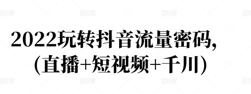 2022玩转抖音流量密码，(直播+短视频+千川)-氢气球网创资源库