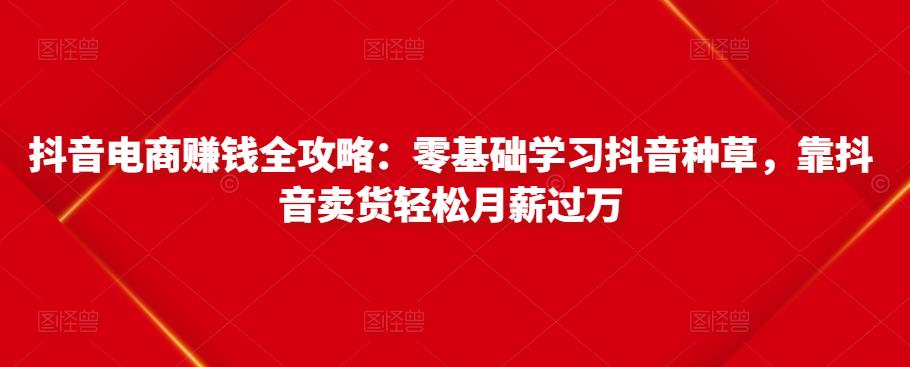 抖音电商赚钱全攻略：零基础学习抖音种草，靠抖音卖货轻松月薪过万-氢气球网创资源库