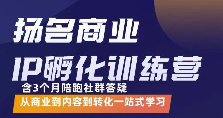 杨名商业IP孵化训练营，从商业到内容到转化一站式学 价值5980元-氢气球网创资源库