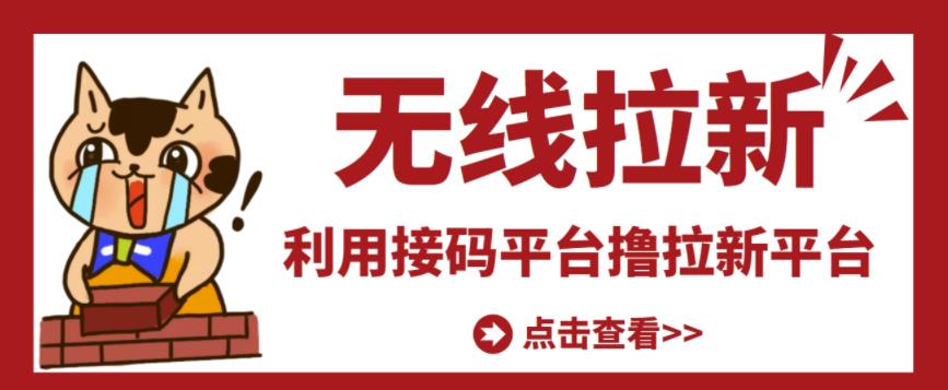 最新接码无限拉新项目，利用接码平台赚拉新平台差价，轻松日赚500+-氢气球网创资源库