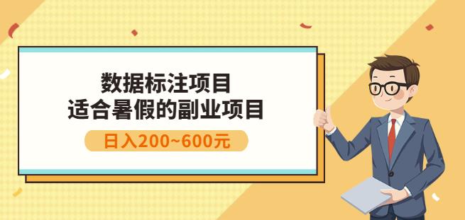 副业赚钱：人工智能数据标注项目，简单易上手，小白也能日入200+-氢气球网创资源库
