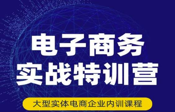 民赛电气内部出品：电子商务实战特训营，全方位带你入门电商，308种方式玩转电商-氢气球网创资源库