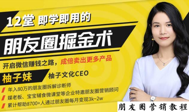 【营销必学】12堂学之即用的朋友圈掘金术：开启你的副业赚钱之路-氢气球网创资源库