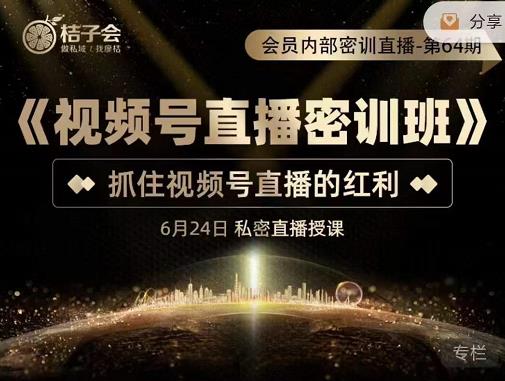 桔子会《视频号直播密训班》，抓住视频号直播的红利 价值12800-氢气球网创资源库