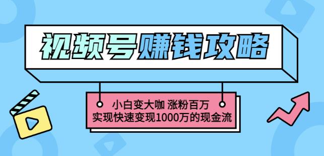玩转微信视频号赚钱：小白变大咖涨粉百万实现快速变现1000万的现金流-氢气球网创资源库