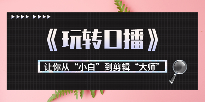 月营业额700万+大佬教您《玩转口播》让你从“小白”到剪辑“大师”-氢气球网创资源库