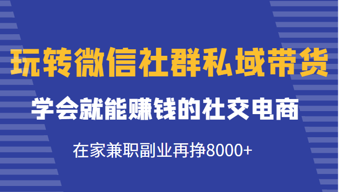 玩转微信社群私域带货，学会就能赚钱的社交电商，在家兼职副业再挣8000+-氢气球网创资源库