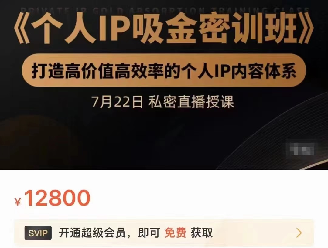个人IP吸金密训班，打造高价值高效率的个人IP内容体系（价值12800元）-氢气球网创资源库