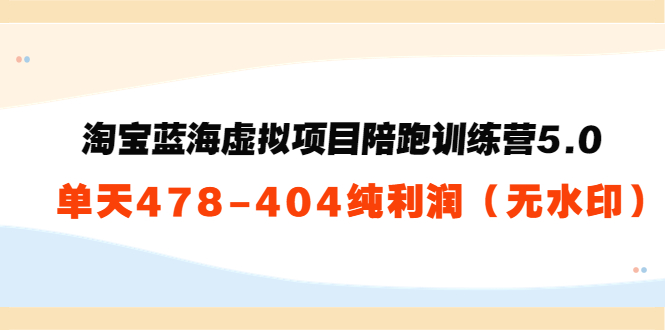 淘宝蓝海虚拟项目陪跑训练营5.0：单天478纯利润-氢气球网创资源库