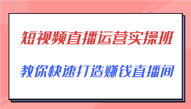 短视频直播运营实操班，直播带货精细化运营实操，教你快速打造赚钱直播间-氢气球网创资源库