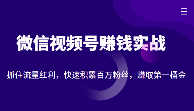 微信视频号赚钱实战：抓住流量红利，快速积累百万粉丝，赚取你的第一桶金-氢气球网创资源库