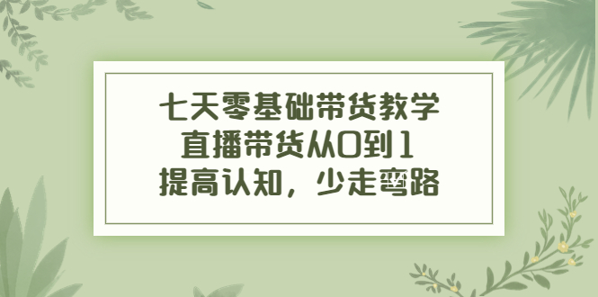 七天零基础带货教学，直播带货从0到1，提高认知，少走弯路-氢气球网创资源库