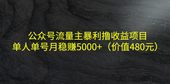 公众号流量主暴利撸收益项目，单人单号月稳赚5000+（价值480元）-氢气球网创资源库