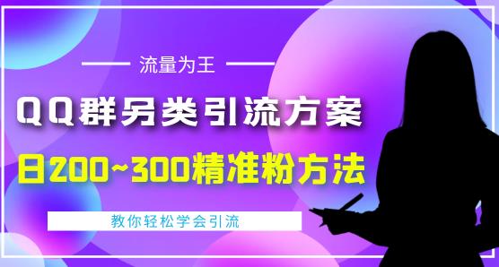 价值888的QQ群另类引流方案，半自动操作日200~300精准粉方法【视频教程】-氢气球网创资源库