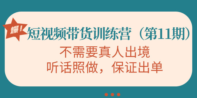 视频带货训练营，不需要真人出境，听话照做，保证出单（第11期）-氢气球网创资源库
