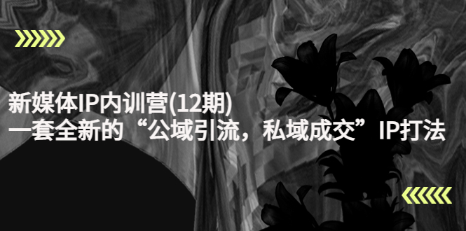 新媒体IP内训营(12期)，一套全新的“公域引流，私域成交”IP打法，直接带走-氢气球网创资源库