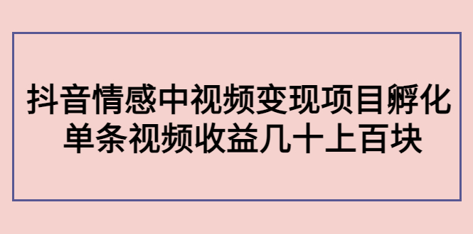 副业孵化营第5期：抖音情感中视频变现项目孵化 单条视频收益几十上百-氢气球网创资源库