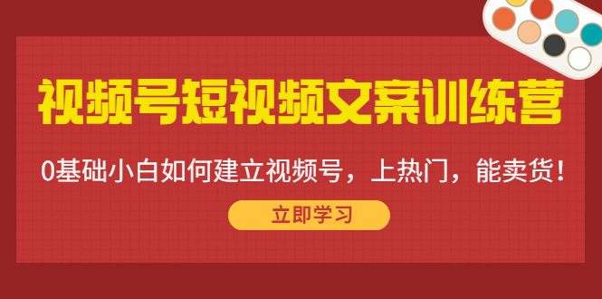 视频号短视频文案训练营：0基础小白如何建立视频号，上热门，能卖货！-氢气球网创资源库