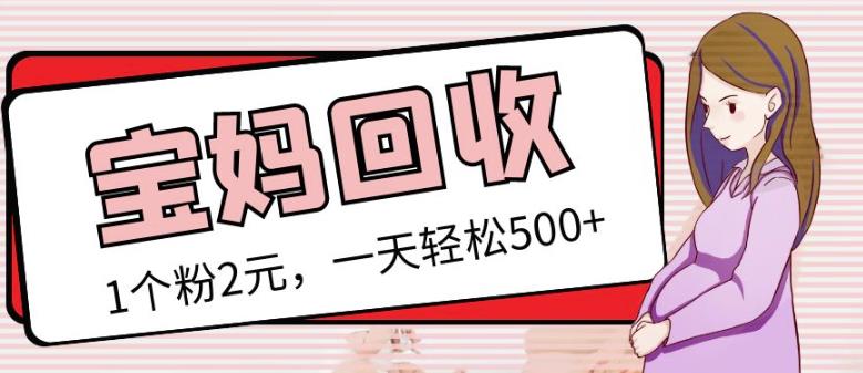 最新小红书母婴号宝妈粉回收项目，1个粉2元，一天轻松500+案例分享【粉丝包回收】-氢气球网创资源库