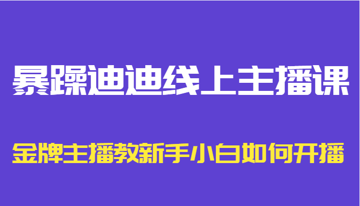 暴躁迪迪线上主播课，金牌主播教新手小白如何开播-氢气球网创资源库