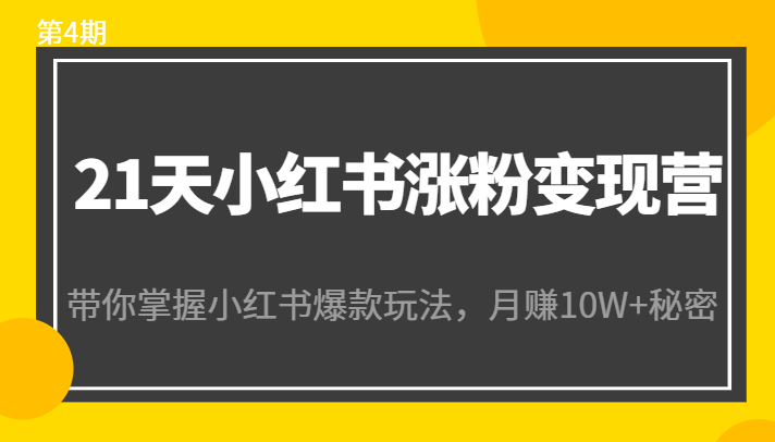 21天小红书涨粉变现营（第4期）：带你掌握小红书爆款玩法，月赚10W+秘密-氢气球网创资源库