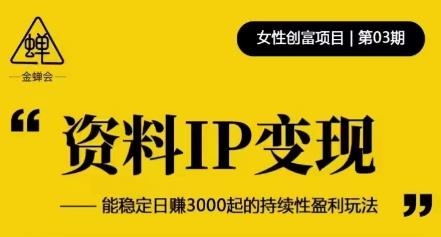 资料IP变现，能稳定日赚3000起的持续性盈利玩法-氢气球网创资源库
