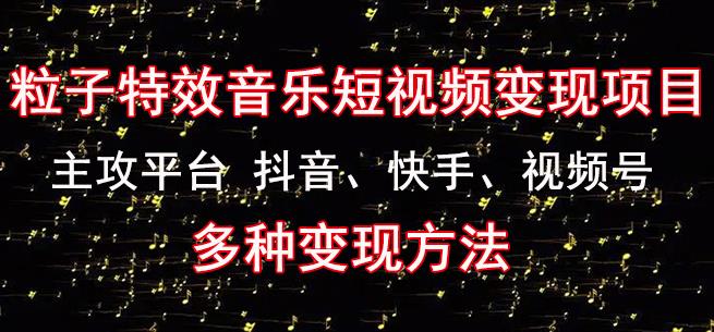黄岛主《粒子特效音乐短视频变现项目》主攻平台抖音、快手、视频号多种变现方法-氢气球网创资源库