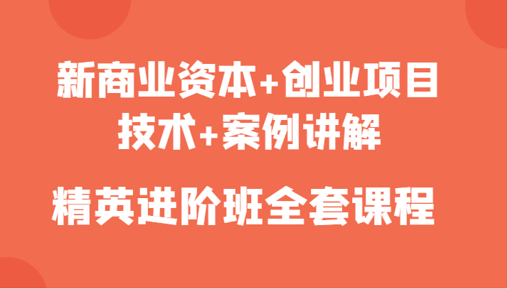 新商业资本+创业项目，技术+案例讲解，精英进阶班全套课程-氢气球网创资源库