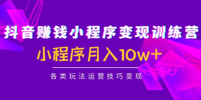 抖音赚钱小程序变现训练营：小程序月入10w+各类玩法运营技巧变现-氢气球网创资源库
