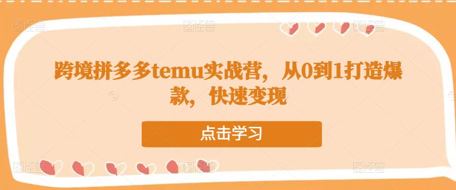 跨境拼多多temu实战营，从0到1打造爆款，快速变现-氢气球网创资源库
