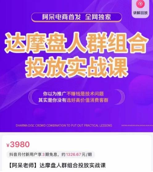 阿呆电商·达摩盘人群组合投放实战课，你以为推广不赚钱是技术问题，其实是你没有选好高价值消费客群-氢气球网创资源库