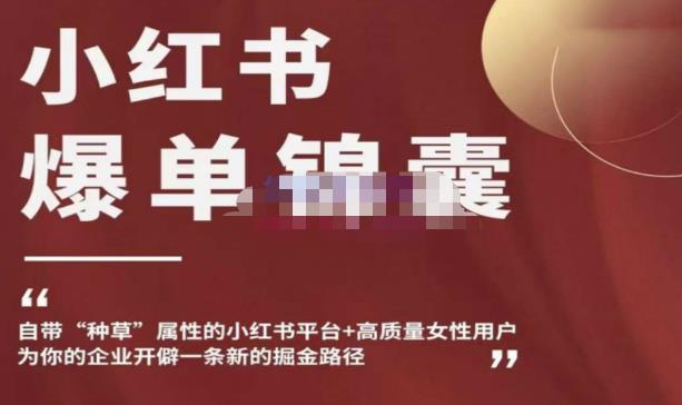 小红书爆单锦囊，自带种草属性+高质量女性用户，为你的企业开辟一条新的掘金路径-氢气球网创资源库