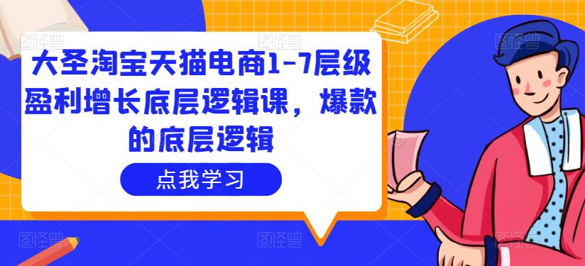 大圣淘宝天猫电商1-7层级盈利增长底层逻辑课，爆款的底层逻辑-氢气球网创资源库
