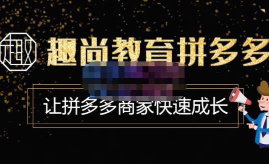 趣尚教育·拼多多运营实操VIP特训营，让拼多多商家快速成长-价值3180元-氢气球网创资源库