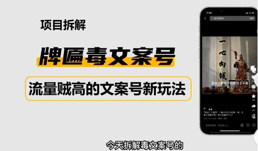 2023抖音快手毒文案新玩法，牌匾文案号，起号快易变现-氢气球网创资源库