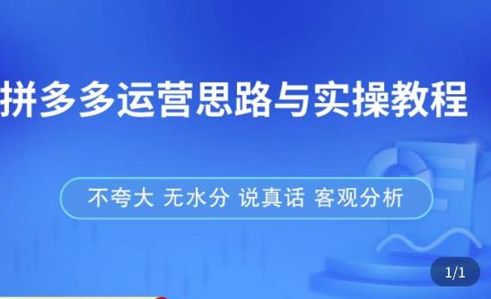 拼多多店铺运营思路与实操教程，快速学会拼多多开店和运营，少踩坑，多盈利-氢气球网创资源库