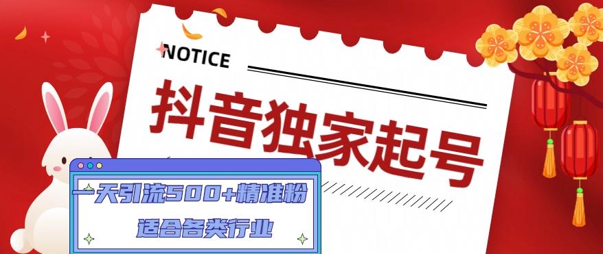 抖音独家起号，一天引流500+精准粉，适合各类行业（9节视频课）-氢气球网创资源库