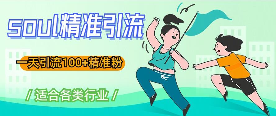 soul精准引流系列课程，一天引流100+精准粉，适合各类行业-氢气球网创资源库