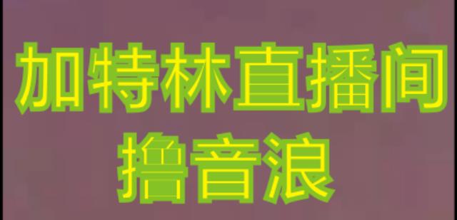 抖音加特林直播间搭建技术，抖音0粉开播，暴力撸音浪，2023新口子，每天800+【素材+详细教程】-氢气球网创资源库