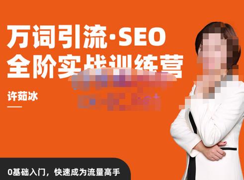 许茹冰·万词引流-SEO全阶实战训练营，0基础入门，快速成为流量高手-氢气球网创资源库