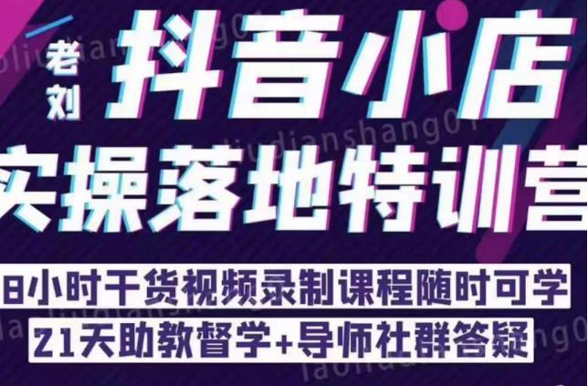 抖音小店实操落地特训营：抖音小店无货源精细化运营，抖店商品卡流量（22节）-氢气球网创资源库