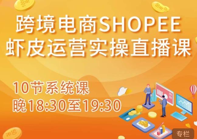 跨境电商Shopee虾皮运营实操直播课，从零开始学，入门到精通（10节系统课）-氢气球网创资源库