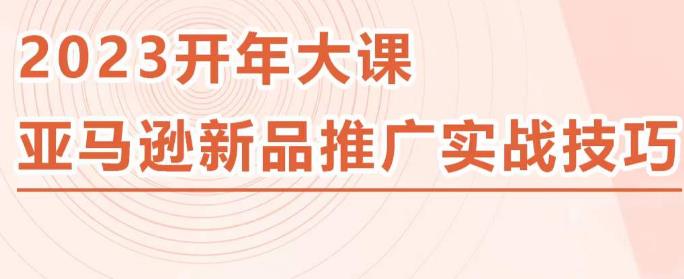 2023亚马逊新品推广实战技巧，线下百万美金课程的精简版，简单粗暴可复制，实操性强的推广手段-氢气球网创资源库