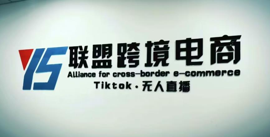 YS联盟·Tiktok无人直播，不出镜不剪辑不拍摄不发货无售后的跨境短视频躺赚玩法-氢气球网创资源库