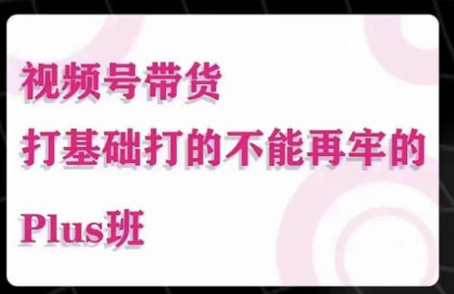 大播汇·视频号带货Puls班，视频号底层逻辑，起号自然流鱼塘等玩法-氢气球网创资源库