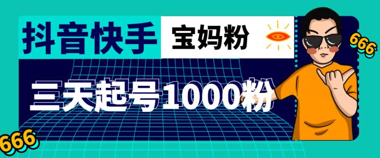 抖音快手三天起号涨粉1000宝妈粉丝的核心方法【详细玩法教程】-氢气球网创资源库