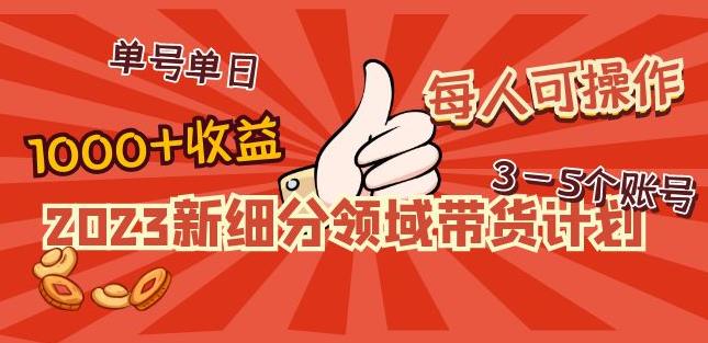 2023新细分领域带货计划：单号单日1000+收益不难，每人可操作3-5个账号-氢气球网创资源库