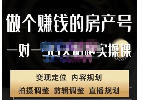 刘广标·同城房产号线上陪跑课，拍摄、剪辑、写文案、直播，做一个具有潜力价值的房产号-氢气球网创资源库
