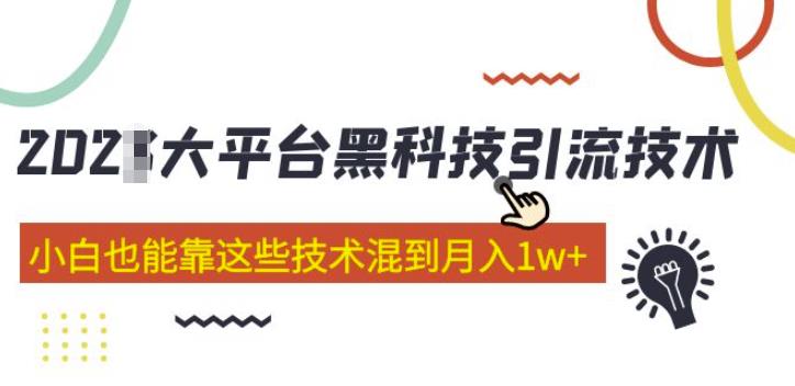 大平台黑科技引流技术，小白也能靠这些技术混到月入1w+(2022年的课程）-氢气球网创资源库